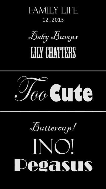 Family Life December 2015